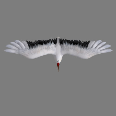 obj crane flight - Crane by Bird Studio